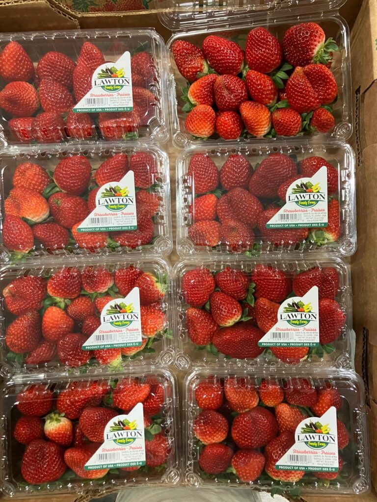 Florida Strawberries